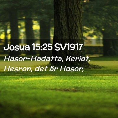 Picture 02 - Josua 15:25 SV1917 - Hasor-Hadatta, Keriot, Hesron, det är - Bible Verse Picture