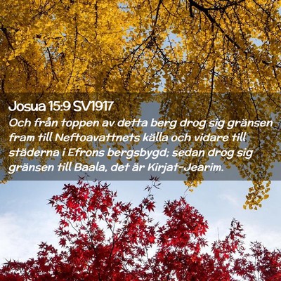 Picture 02 - Josua 15:9 SV1917 - Och från toppen av detta berg drog sig gränsen - Bible Verse Picture