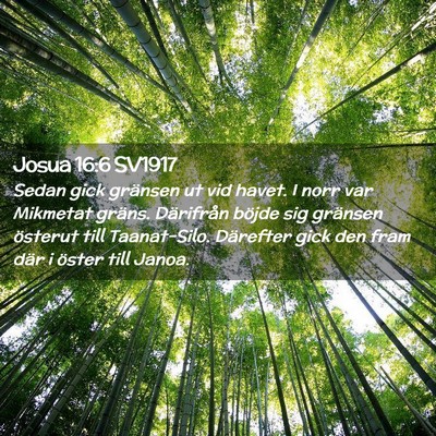 Picture 02 - Josua 16:6 SV1917 - Sedan gick gränsen ut vid havet. I norr var - Bible Verse Picture