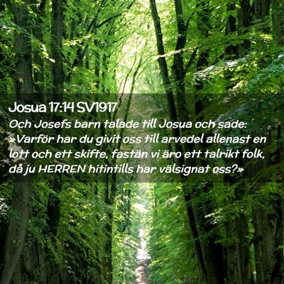 Picture 02 - Josua 17:14 SV1917 - Och Josefs barn talade till Josua och sade: - Bible Verse Picture