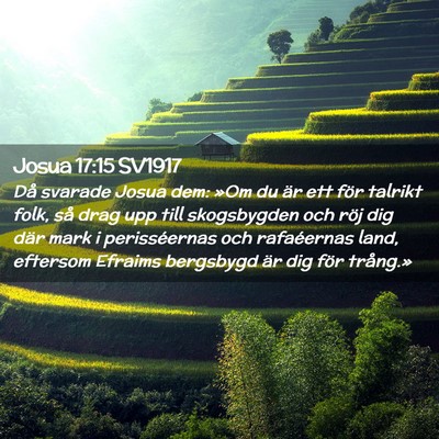 Picture 02 - Josua 17:15 SV1917 - Då svarade Josua dem: »Om du är ett för - Bible Verse Picture