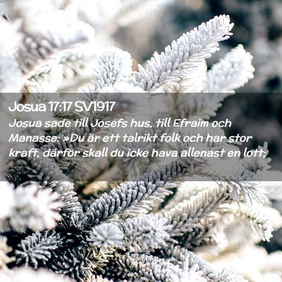 Picture 02 - Josua 17:17 SV1917 - Josua sade till Josefs hus, till Efraim och - Bible Verse Picture