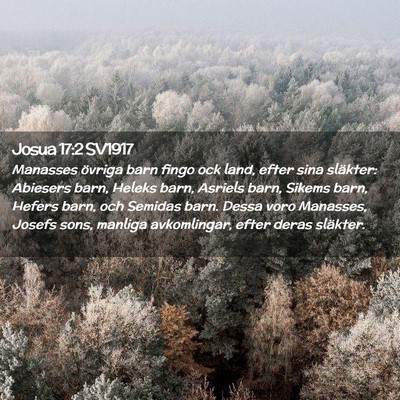 Picture 02 - Josua 17:2 SV1917 - Manasses övriga barn fingo ock land, efter sina - Bible Verse Picture