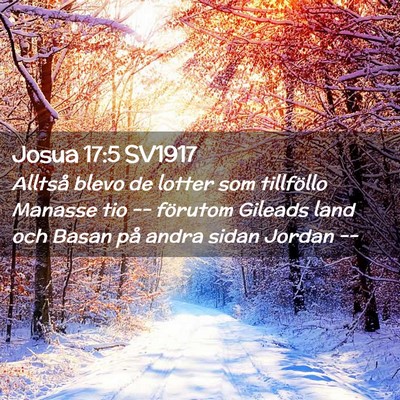 Picture 02 - Josua 17:5 SV1917 - Alltså blevo de lotter som tillföllo Manasse - Bible Verse Picture