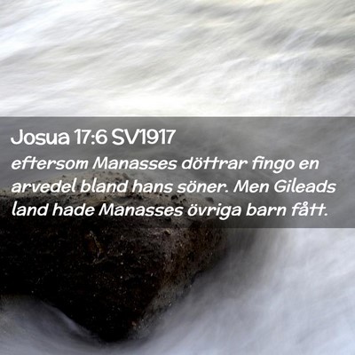 Picture 02 - Josua 17:6 SV1917 - eftersom Manasses döttrar fingo en arvedel bland - Bible Verse Picture