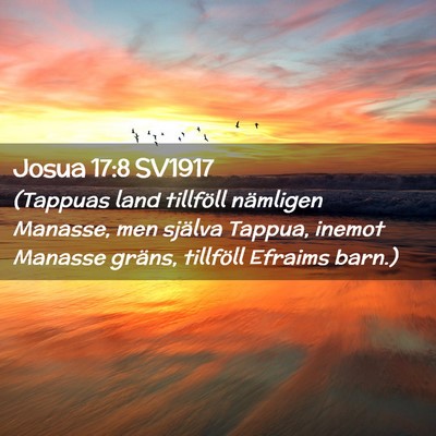 Picture 02 - Josua 17:8 SV1917 - (Tappuas land tillföll nämligen Manasse, men - Bible Verse Picture
