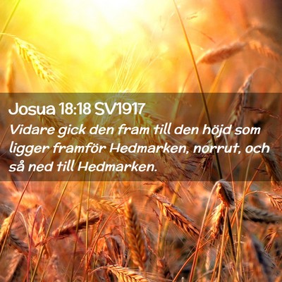 Picture 02 - Josua 18:18 SV1917 - Vidare gick den fram till den höjd som ligger - Bible Verse Picture