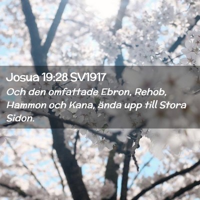 Picture 02 - Josua 19:28 SV1917 - Och den omfattade Ebron, Rehob, Hammon och Kana, - Bible Verse Picture