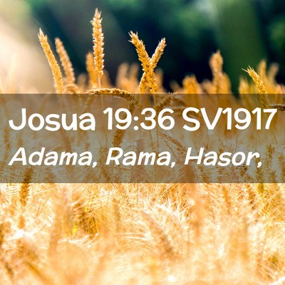 Picture 02 - Josua 19:36 SV1917 - Adama, Rama, - Bible Verse Picture