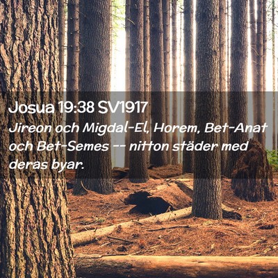 Picture 02 - Josua 19:38 SV1917 - Jireon och Migdal-El, Horem, Bet-Anat och - Bible Verse Picture