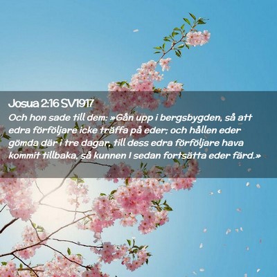 Picture 02 - Josua 2:16 SV1917 - Och hon sade till dem: »Gån upp i bergsbygden, - Bible Verse Picture