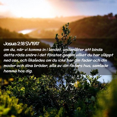 Picture 02 - Josua 2:18 SV1917 - om du, när vi komma in i landet, underlåter att - Bible Verse Picture