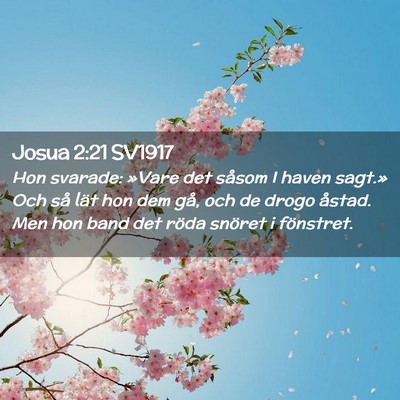 Picture 02 - Josua 2:21 SV1917 - Hon svarade: »Vare det såsom I haven sagt.» - Bible Verse Picture