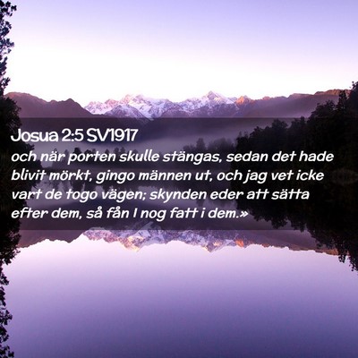 Picture 02 - Josua 2:5 SV1917 - och när porten skulle stängas, sedan det hade - Bible Verse Picture