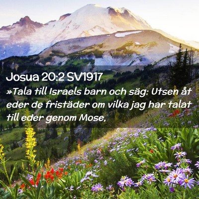 Picture 02 - Josua 20:2 SV1917 - »Tala till Israels barn och säg: Utsen åt eder - Bible Verse Picture