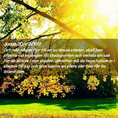 Picture 02 - Josua 20:4 SV1917 - Och när någon flyr till en av dessa städer, - Bible Verse Picture