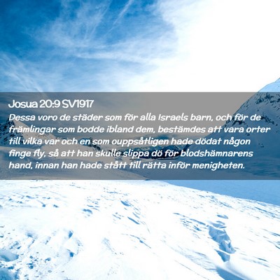 Picture 02 - Josua 20:9 SV1917 - Dessa voro de städer som för alla Israels barn, - Bible Verse Picture
