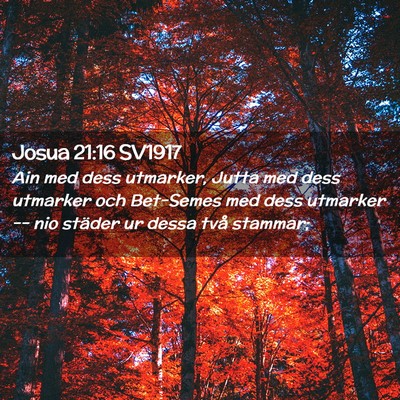 Picture 02 - Josua 21:16 SV1917 - Ain med dess utmarker, Jutta med dess utmarker - Bible Verse Picture