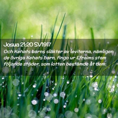 Picture 02 - Josua 21:20 SV1917 - Och Kehats barns släkter av leviterna, nämligen - Bible Verse Picture