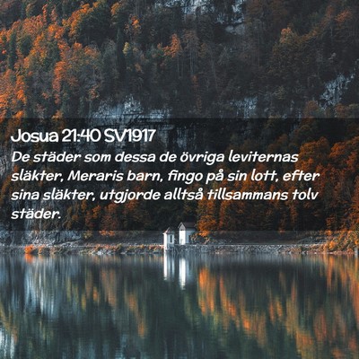 Picture 02 - Josua 21:40 SV1917 - De städer som dessa de övriga leviternas - Bible Verse Picture