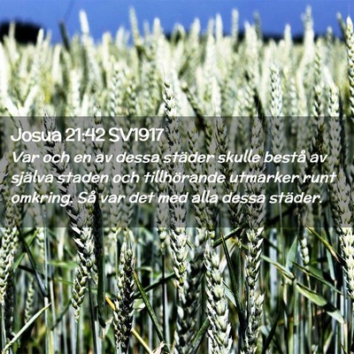 Picture 02 - Josua 21:42 SV1917 - Var och en av dessa städer skulle bestå av - Bible Verse Picture