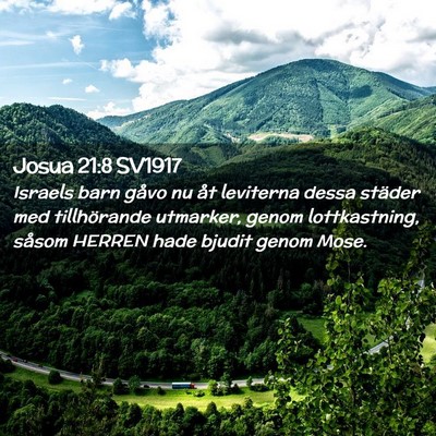 Picture 02 - Josua 21:8 SV1917 - Israels barn gåvo nu åt leviterna dessa städer - Bible Verse Picture