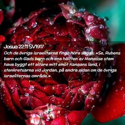 Picture 02 - Josua 22:11 SV1917 - Och de övriga israeliterna fingo höra sägas: - Bible Verse Picture