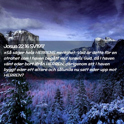 Picture 02 - Josua 22:16 SV1917 - »Så säger hela HERRENS menighet: Vad är detta - Bible Verse Picture
