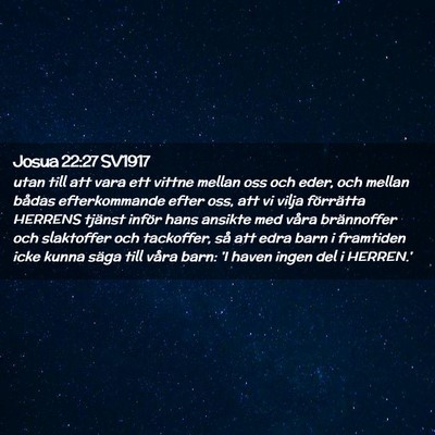 Picture 02 - Josua 22:27 SV1917 - utan till att vara ett vittne mellan oss och - Bible Verse Picture