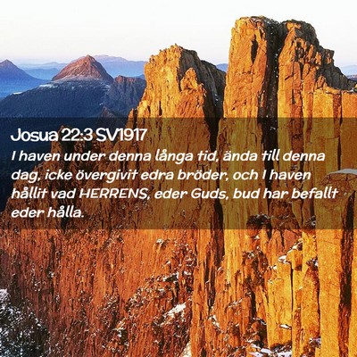 Picture 02 - Josua 22:3 SV1917 - I haven under denna långa tid, ända till denna - Bible Verse Picture