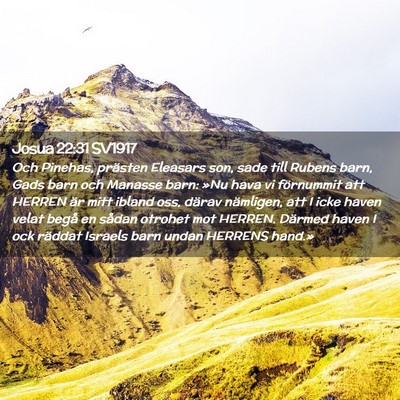 Picture 02 - Josua 22:31 SV1917 - Och Pinehas, prästen Eleasars son, sade till - Bible Verse Picture