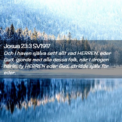 Picture 02 - Josua 23:3 SV1917 - Och I haven själva sett allt vad HERREN, eder - Bible Verse Picture