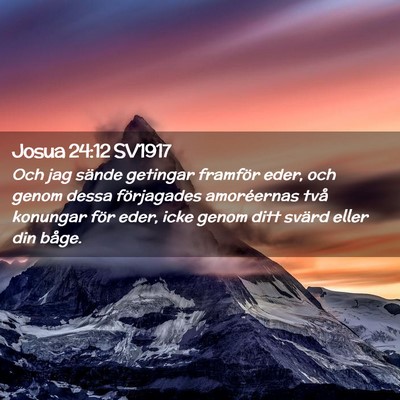 Picture 02 - Josua 24:12 SV1917 - Och jag sände getingar framför eder, och genom - Bible Verse Picture