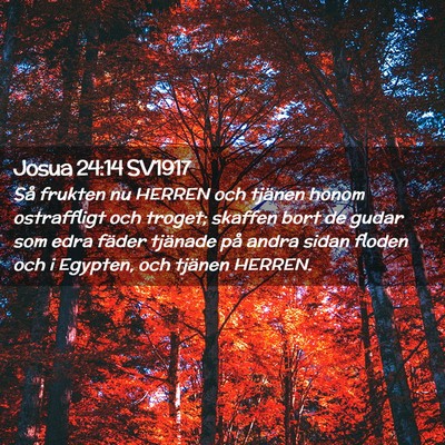 Picture 02 - Josua 24:14 SV1917 - Så frukten nu HERREN och tjänen honom - Bible Verse Picture