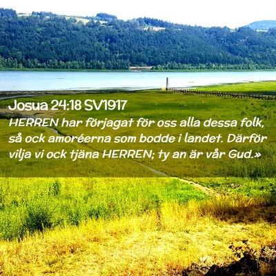 Picture 02 - Josua 24:18 SV1917 - HERREN har förjagat för oss alla dessa folk, - Bible Verse Picture