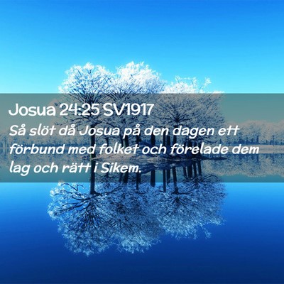 Picture 02 - Josua 24:25 SV1917 - Så slöt då Josua på den dagen ett förbund - Bible Verse Picture
