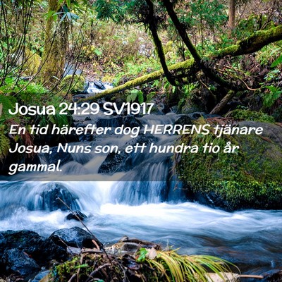 Picture 02 - Josua 24:29 SV1917 - En tid härefter dog HERRENS tjänare Josua, Nuns - Bible Verse Picture