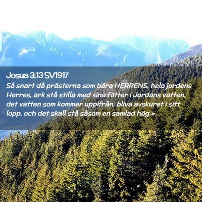 Picture 02 - Josua 3:13 SV1917 - Så snart då prästerna som bära HERRENS, hela - Bible Verse Picture