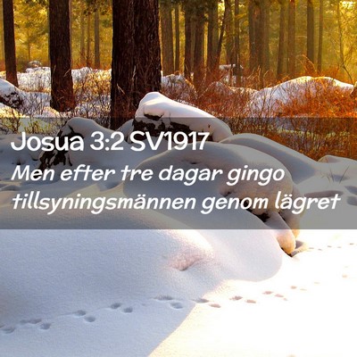 Picture 02 - Josua 3:2 SV1917 - Men efter tre dagar gingo tillsyningsmännen - Bible Verse Picture