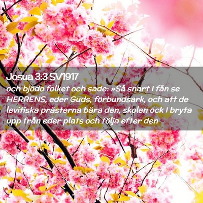 Picture 02 - Josua 3:3 SV1917 - och bjödo folket och sade: »Så snart I fån se - Bible Verse Picture