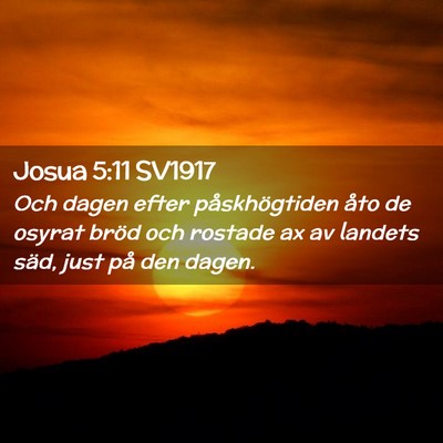 Picture 02 - Josua 5:11 SV1917 - Och dagen efter påskhögtiden åto de osyrat - Bible Verse Picture