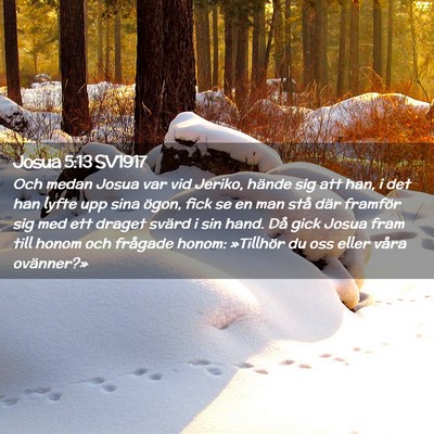 Picture 02 - Josua 5:13 SV1917 - Och medan Josua var vid Jeriko, hände sig att - Bible Verse Picture