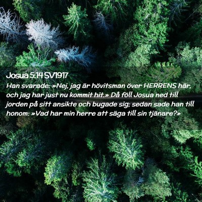 Picture 02 - Josua 5:14 SV1917 - Han svarade: »Nej, jag är hövitsman över - Bible Verse Picture