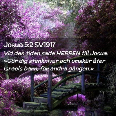 Picture 02 - Josua 5:2 SV1917 - Vid den tiden sade HERREN till Josua: »Gör dig - Bible Verse Picture