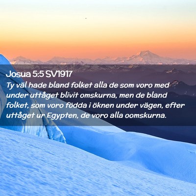 Picture 02 - Josua 5:5 SV1917 - Ty väl hade bland folket alla de som voro med - Bible Verse Picture