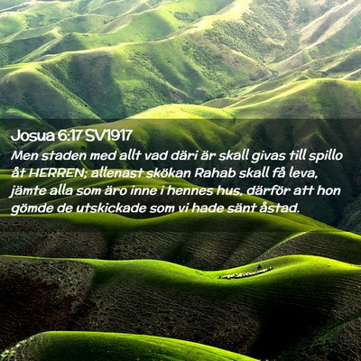 Picture 02 - Josua 6:17 SV1917 - Men staden med allt vad däri är skall givas - Bible Verse Picture