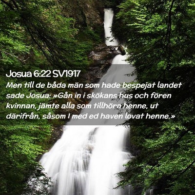 Picture 02 - Josua 6:22 SV1917 - Men till de båda män som hade bespejat landet - Bible Verse Picture