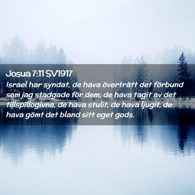 Picture 02 - Josua 7:11 SV1917 - Israel har syndat, de hava överträtt det - Bible Verse Picture