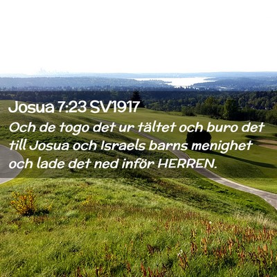 Picture 02 - Josua 7:23 SV1917 - Och de togo det ur tältet och buro det till - Bible Verse Picture