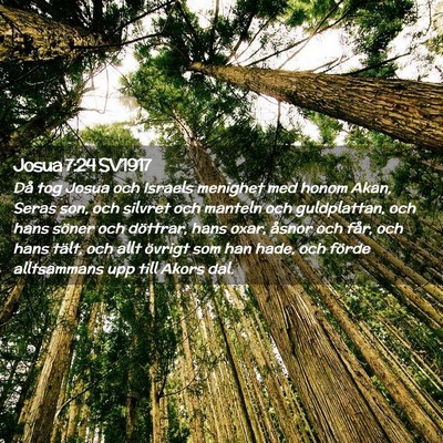 Picture 02 - Josua 7:24 SV1917 - Då tog Josua och Israels menighet med honom - Bible Verse Picture